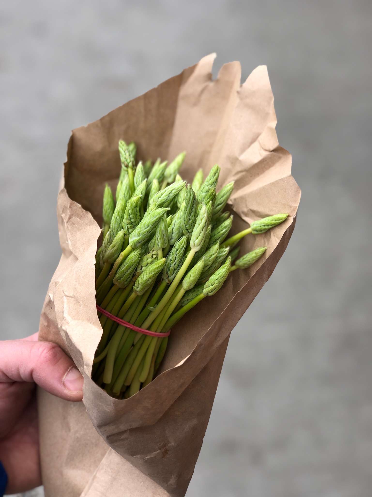 asparagi