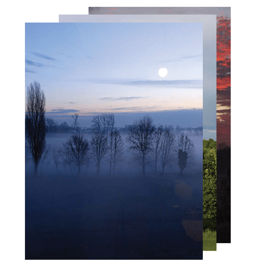 Sarah's Window